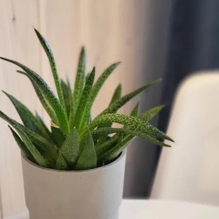 Bed & Breakfast Toskania Goscinne Karwia