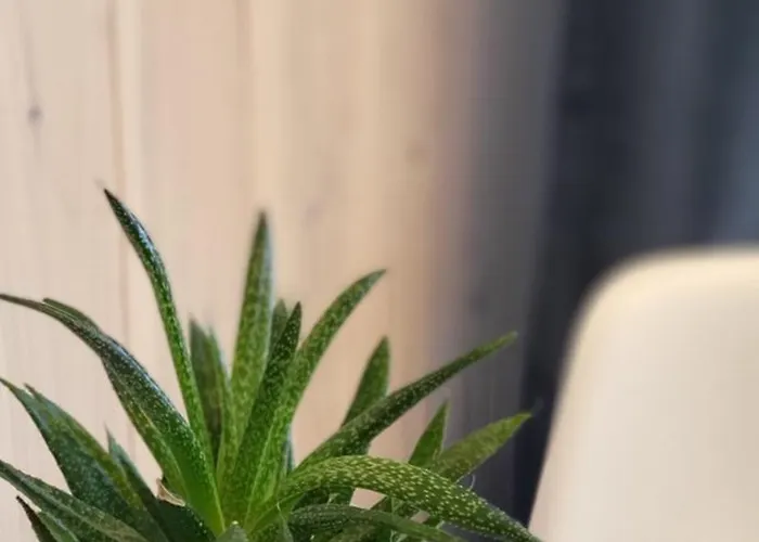 Toskania Goscinne Bed & Breakfast Karwia